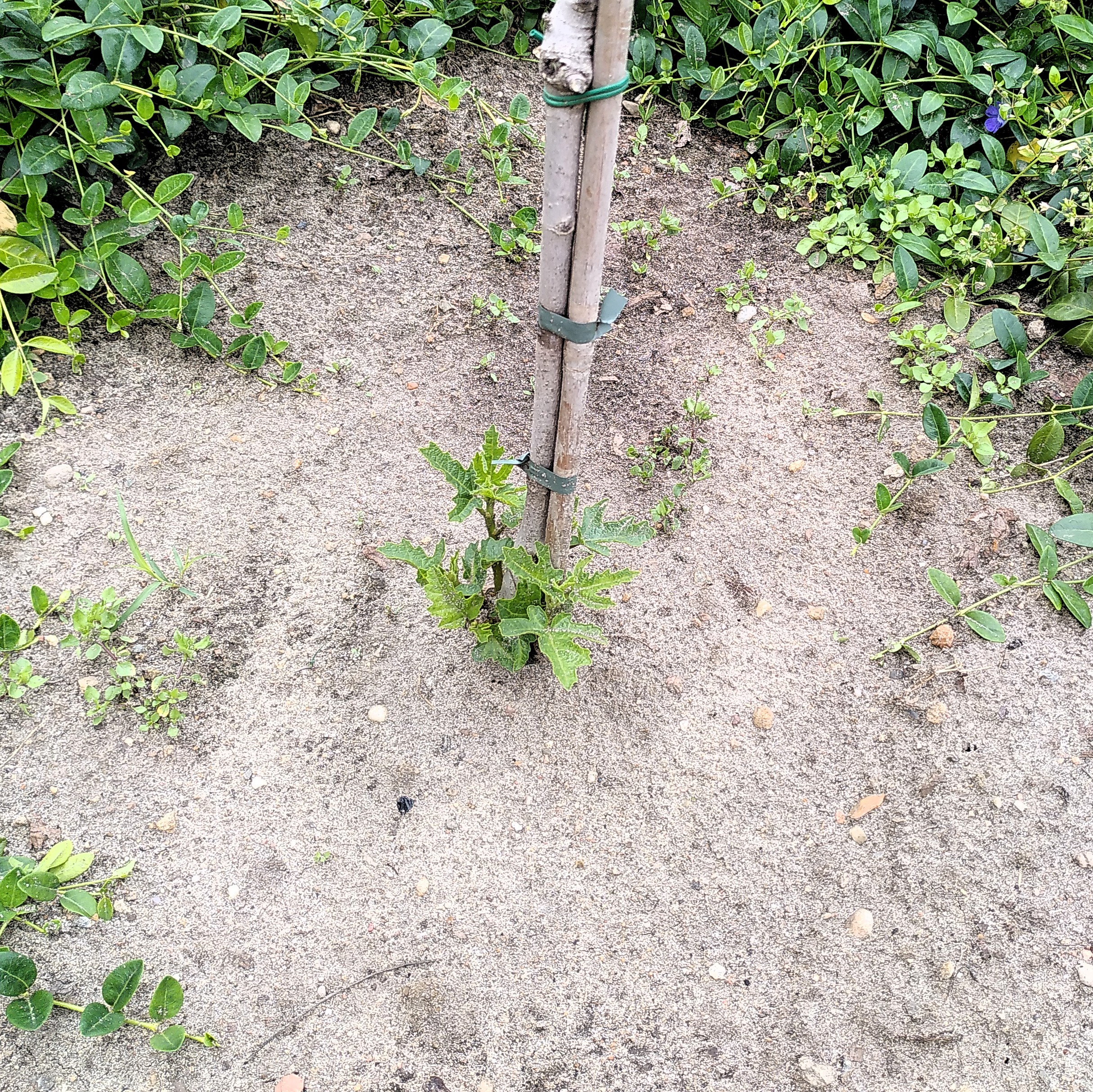 ...und am 22.6.2021