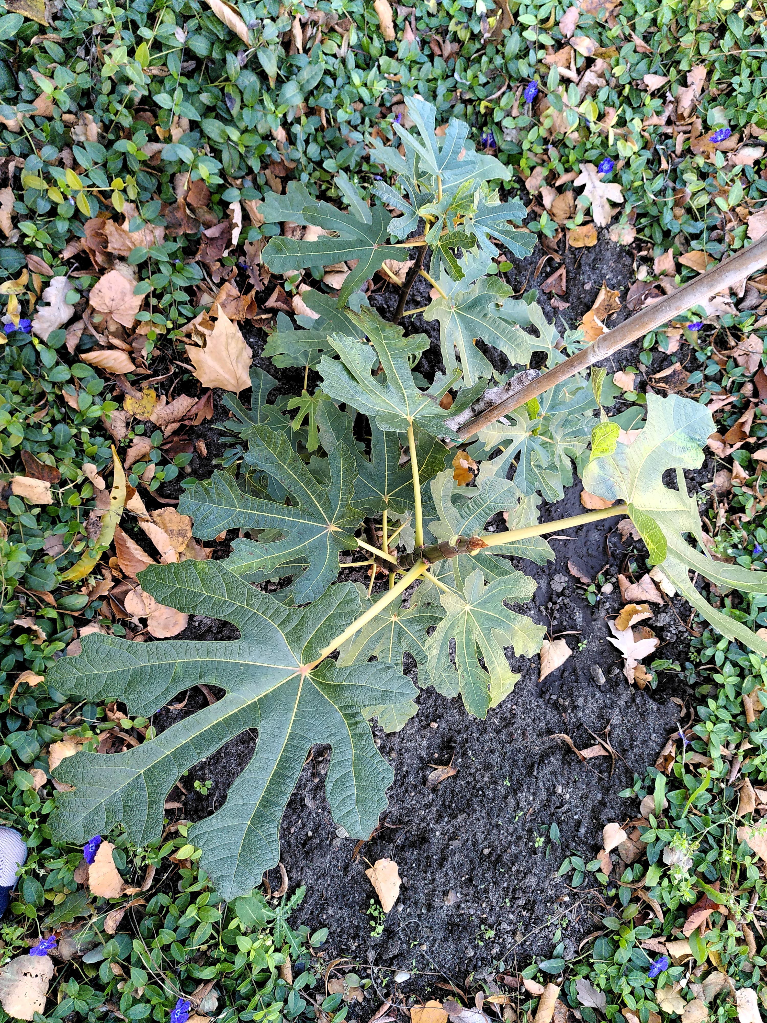 letztes Update vor der Winterpause