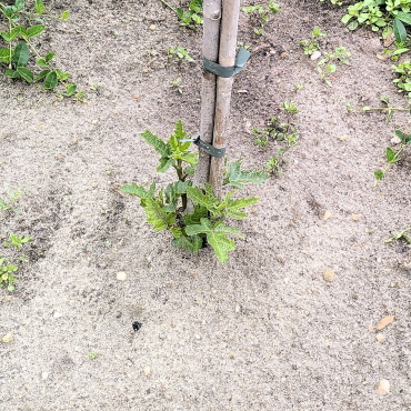 Update vom 22. Juni 2021