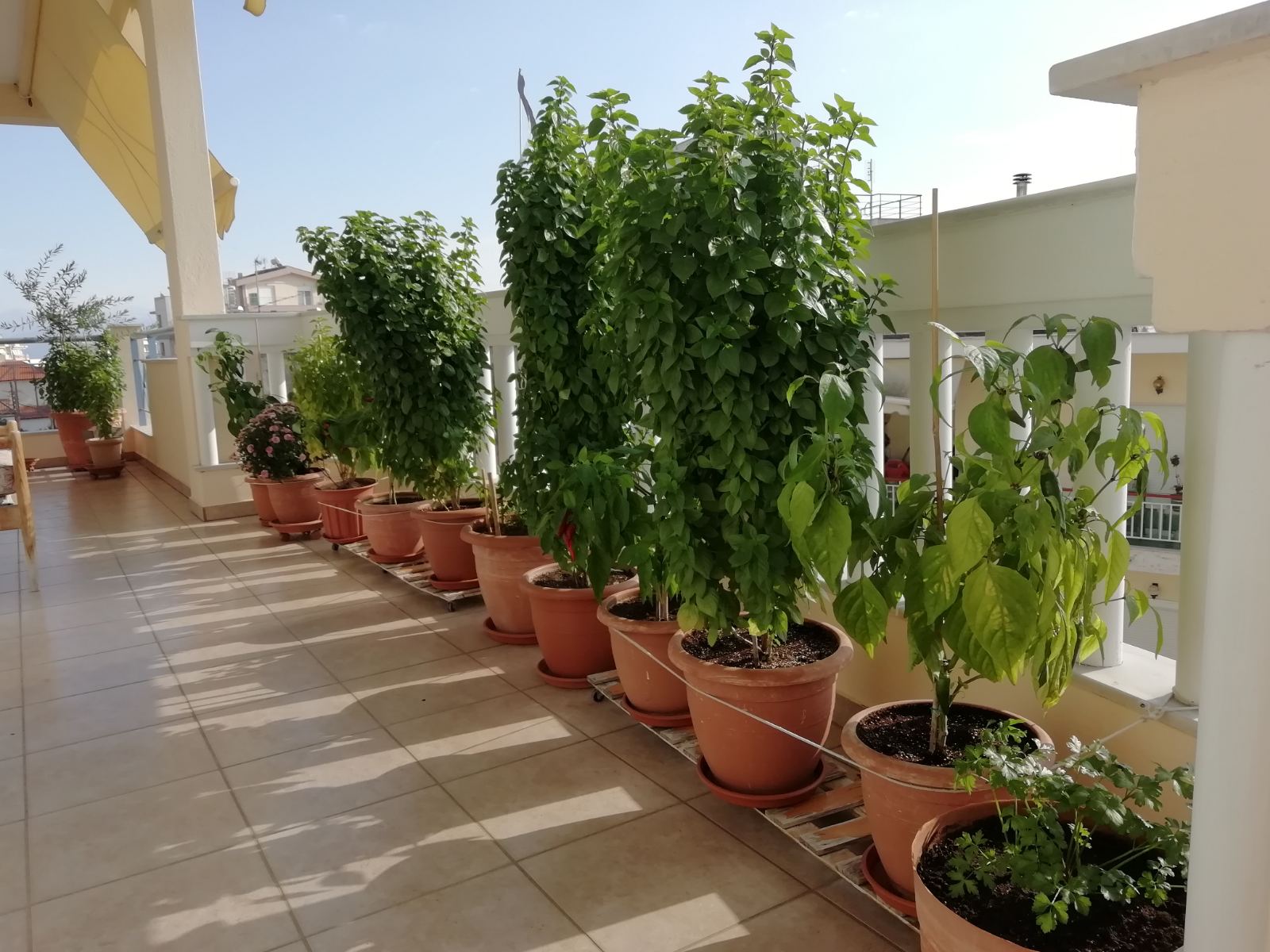 Onkels Balkon